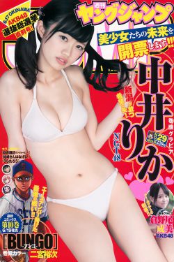 美国派1